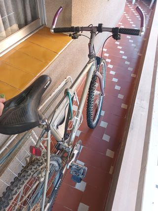 Bicicleta montaña vintage