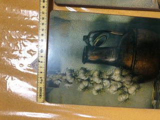 Quadri frutta legno vintage 24x18cm