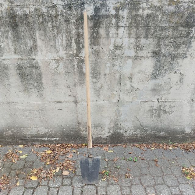 Vanga da Giardino - Ben tenuta