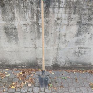 Vanga da Giardino - Ben tenuta