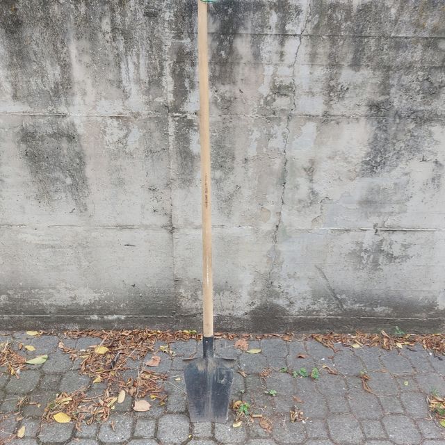 Vanga da Giardino - Ben tenuta