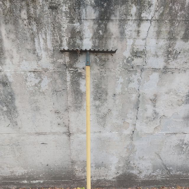 Rastrello da giardino