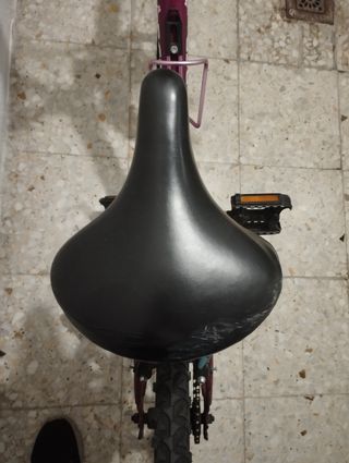 Bicicletta per bambini da 20 pollici 