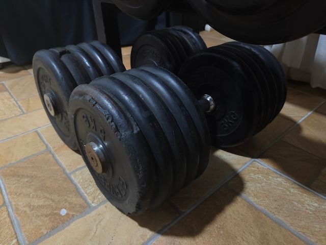 Mancuernas Gervasport 50kg