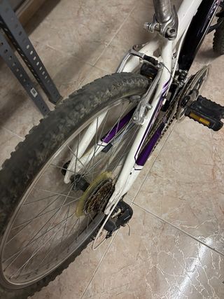 Bicicleta Coluer 24" montaña
