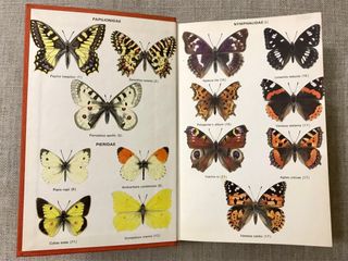 Guía De Las Mariposas De España y De Europa.