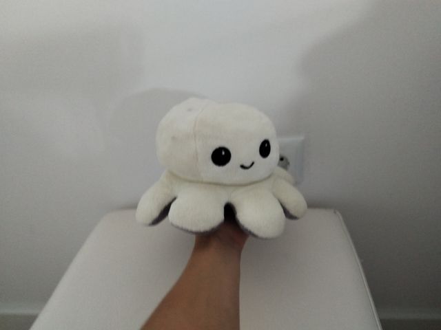 Puzzle Educativo 4 en 1