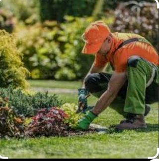 hola busco Trabahos , limpieza jardinero , pintor