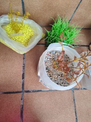 Accessori per acquari: ghiaia, piante e armadio