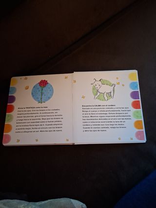 El Principito. Tu libro de emociones