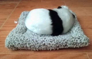 Oso panda realista con su camita decoración  Nuevo
