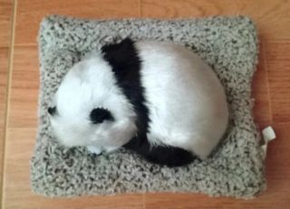 Oso panda realista con su camita decoración  Nuevo