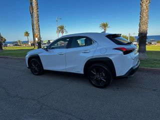 Lexus UX250 H 2022