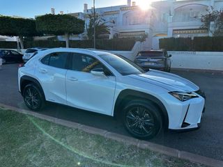 Lexus UX250 H 2022
