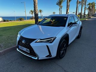 Lexus UX250 H 2022