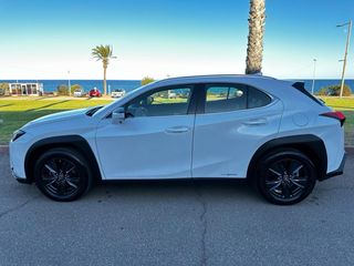 Lexus UX250 H 2022