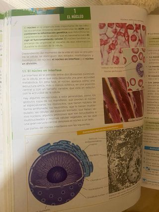 Libro biología 2º bach.