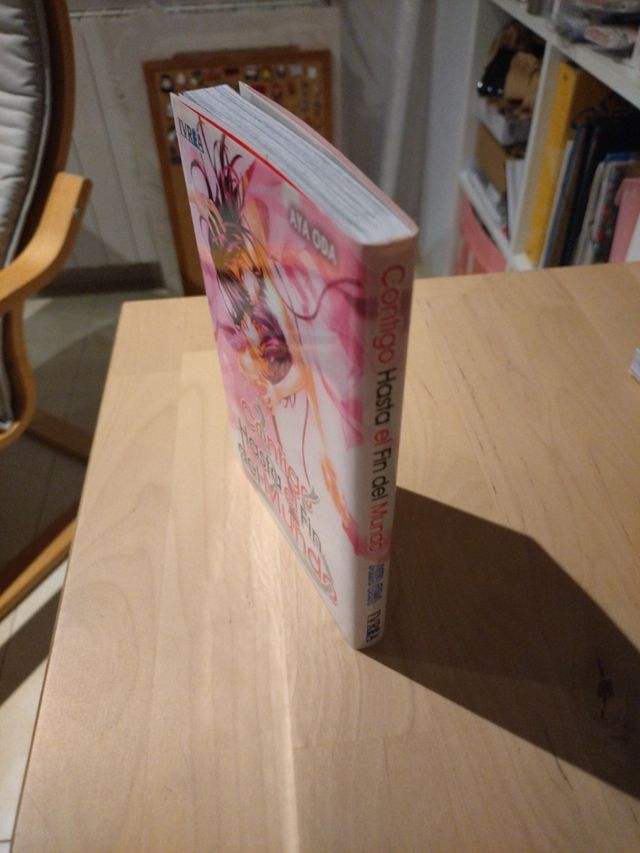 Contigo Hasta El Fin Del Mundo