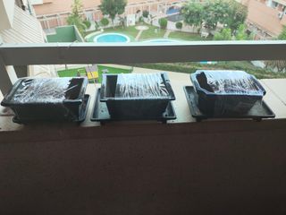 3  Macetas Bonsái  de 15 x 10  con su plato