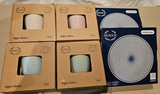 Tazas y platos de porcelana Bidasoa, 10 piezas