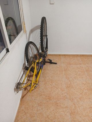 Bicicleta Orbea montaña - Sin rueda trasera