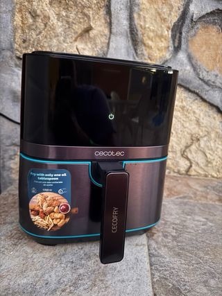 Freidora Cecotec Cecofry 5,5 L 
