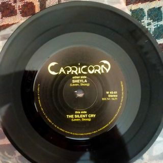 Vinili Hard Rock :  Capricorn & Crystal Pride