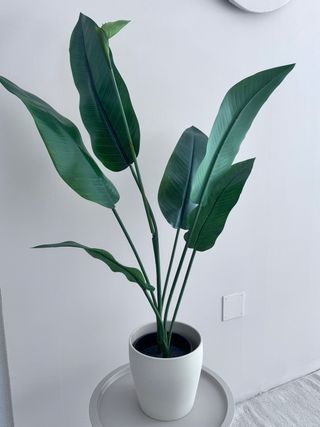 Planta artificial Strelitzia