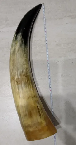 Corno di Bue - Arredo originale