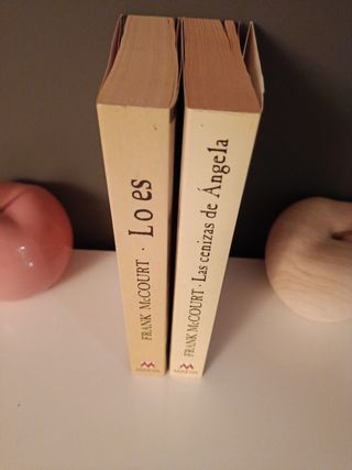 Las cenizas de Ángela: Una novela de memorias e...