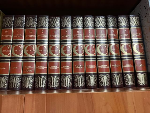 diccionario enciclopédico