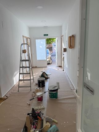 Pintor profesional 