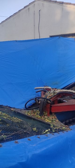 Lona protectora recogedor almendras