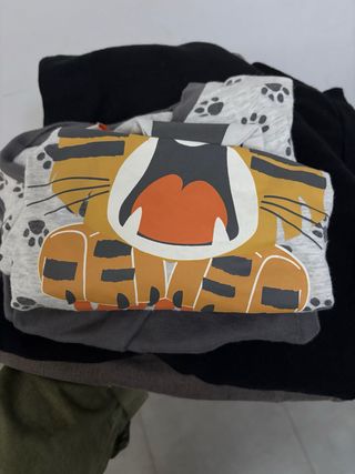 Lote 2 pantalones niño tigre