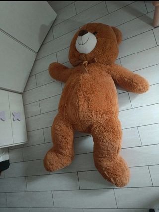 Orso gigante peluche