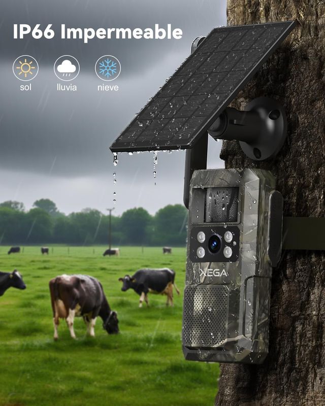Cámara Caza XEGA Solar 4G SIM