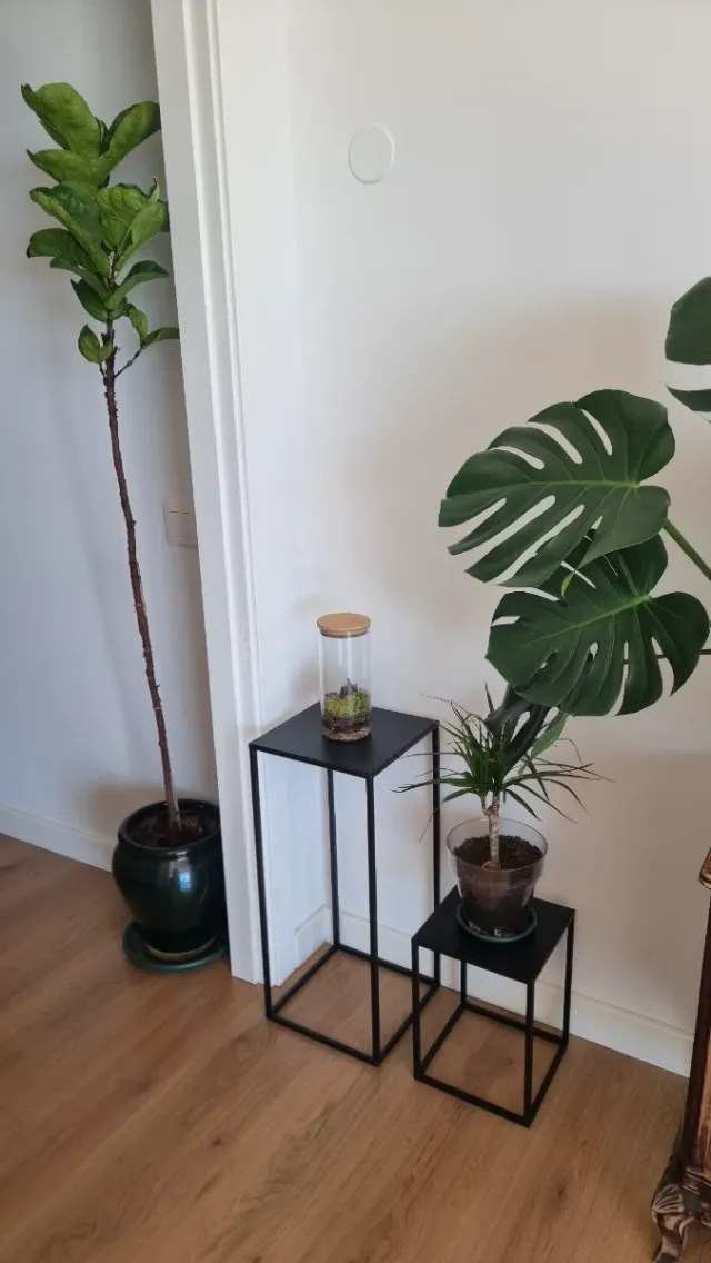 Para Macetas, 2 soportes plantas metal negro