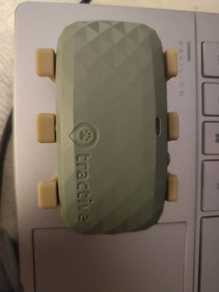 Tractive GPS xl - Rastreador Mascotas