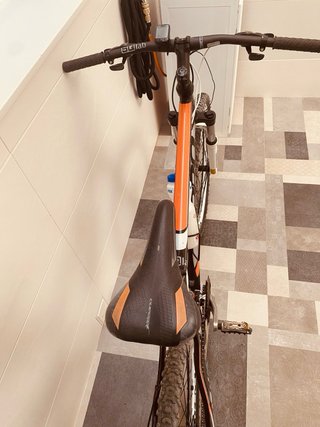 Bicicleta montaña adulto