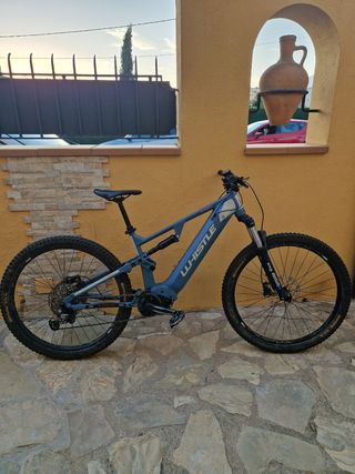 Bicicleta eléctrica Whistle
