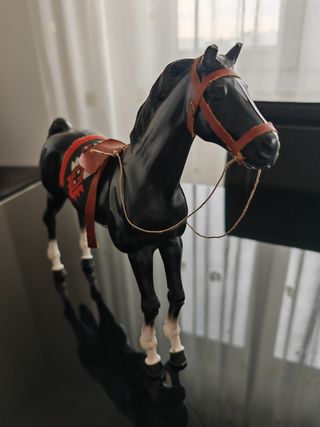 Cavallo Big Jim Indiano