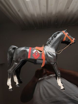 Cavallo Big Jim Indiano