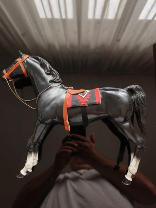 Cavallo Big Jim Indiano