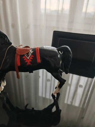 Cavallo Big Jim Indiano
