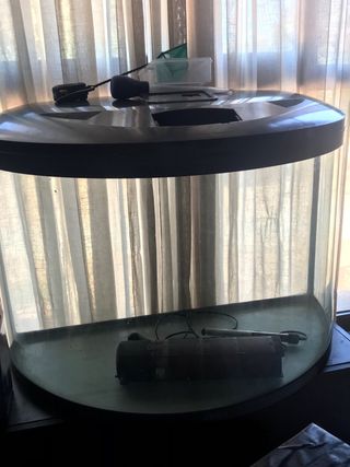 - Acuario curvo 200 l