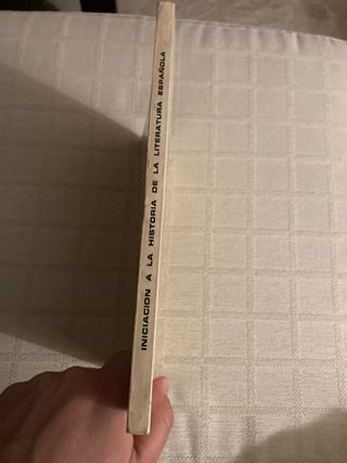 Iniciación a la historia de la literatura española