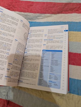 Diccionario de Primaria (Spanish Edition)