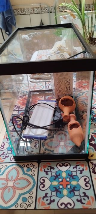 Acuario pequeño - pecera nuevo sin usar