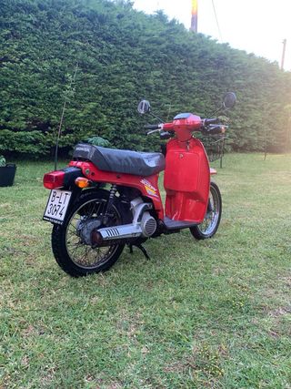 Moto Honda scoopy