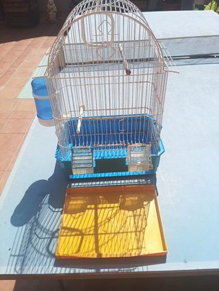 Jaula pájaros - Azul y Blanca